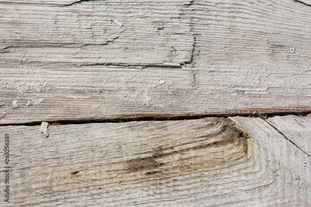 Obraz premium Brown Old wood texture. Abstract background, empty template