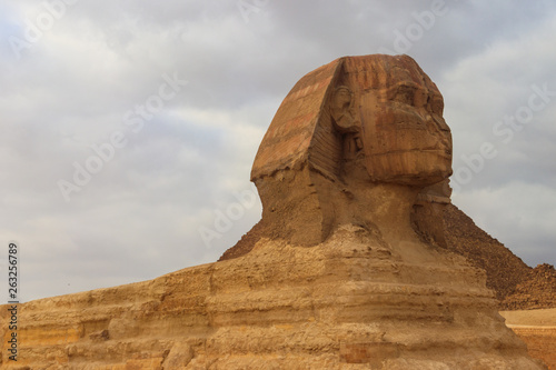 Close-up of Great Sphinx of Giza in Cairo  Egypt