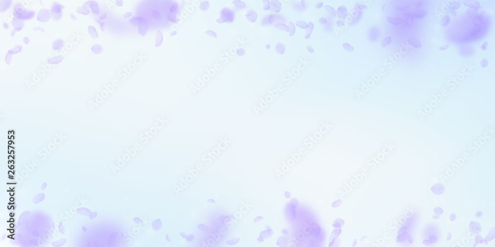Violet flower petals falling down. Glamorous roman Violet flower petals falling down. Glamorous roman