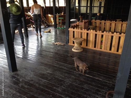 Cat and People Walking in Traditional House on Inle Lake in Myanmar © zipanger777