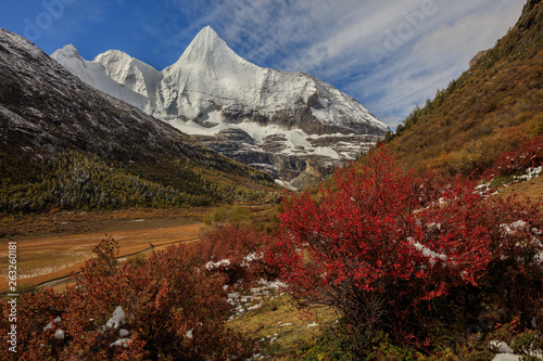 Jampayang, holy snow mountain in Daocheng Yading Nature Reserve - Garze, Kham Tibetan Pilgrimage region of Sichuan Province China. Alpine grassland in front of the towering ice summit of Yangmaiyong photo