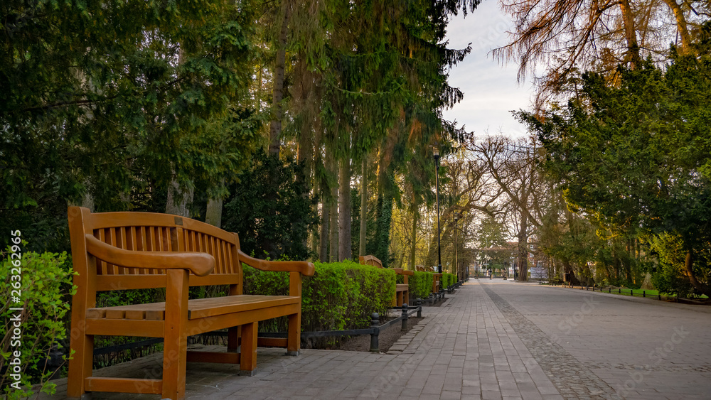 Alley in the Oliwa park in early spring scenery. Entrance to the park. Gdansk, Poland.