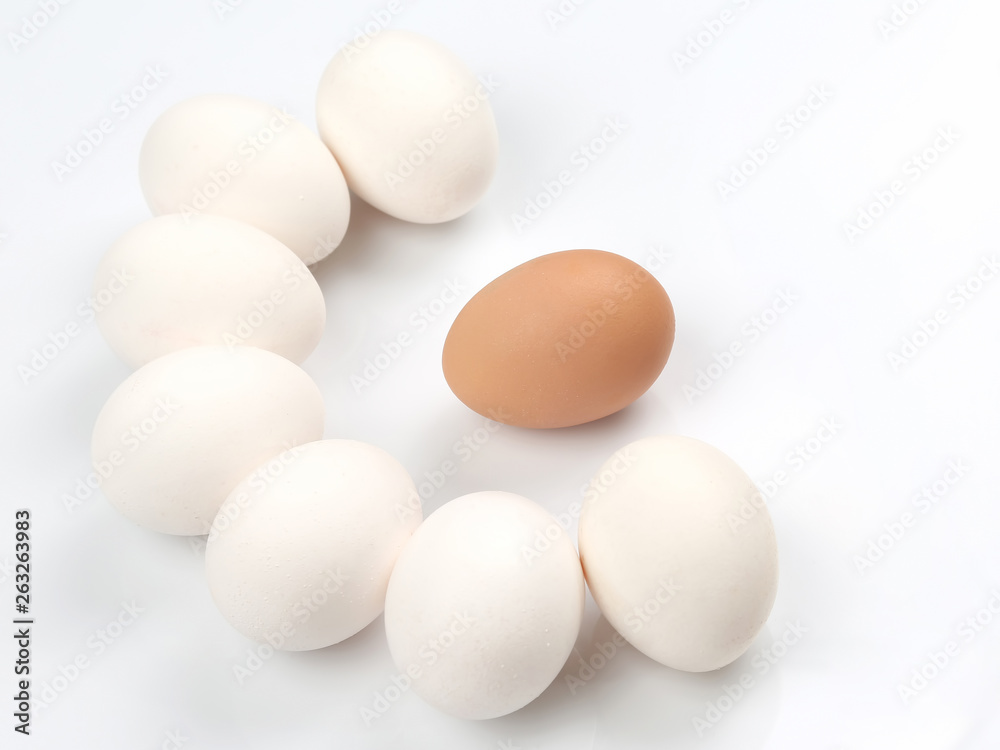 chicken eggs on white background chicken eggs on white background