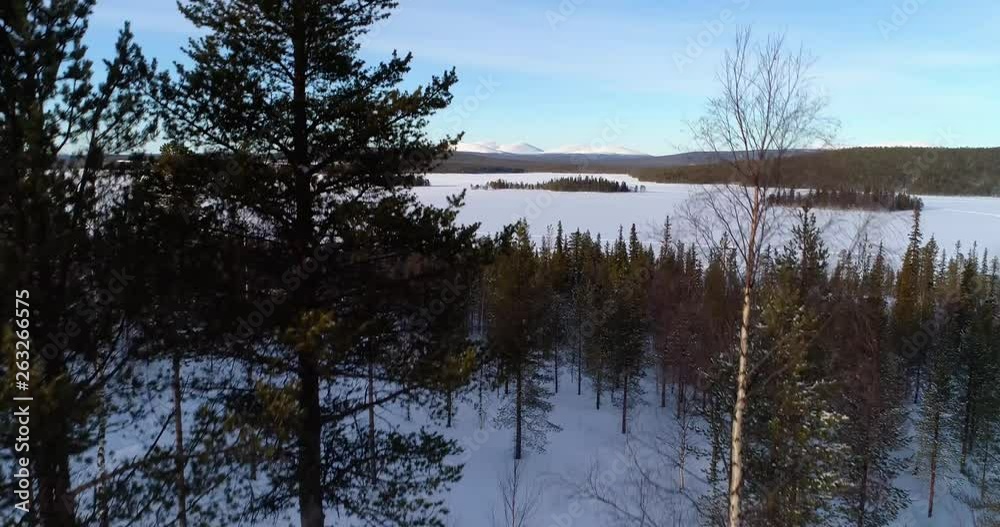 Aerial, reverse, drone shot, over spruce forest, buildings and Ounastunturit fjells, in Pallas-yllastunturi national park, at the arctic circle, on a sunny, winter evening, in Muonio, Lapland, Finland Aerial, reverse, drone shot, over spruce forest, buildings and Ounastunturit fjells, in Pallas-yllastunturi national park, at the arctic circle, on a sunny, winter evening, in Muonio, Lapland, Finland