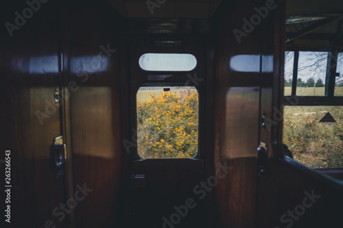 Flowers from a Railway Carriage