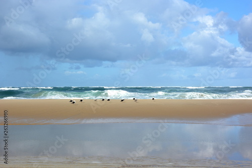 France, Aquitaine, plage côte atlantique. La marée montante va peu à peu recouvrir le banc de sable en formant un courant dans la dépression au premier plan.