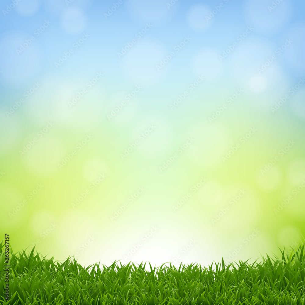 Nature Background With Grass Border