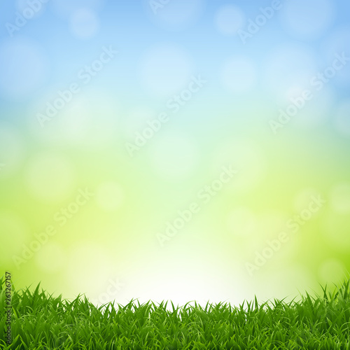 Nature Background With Grass Border