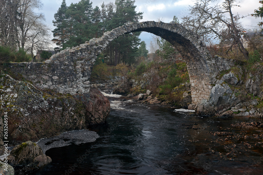 I am stone hard, textured, ancient and still standing I am stone hard, textured, ancient and still standing