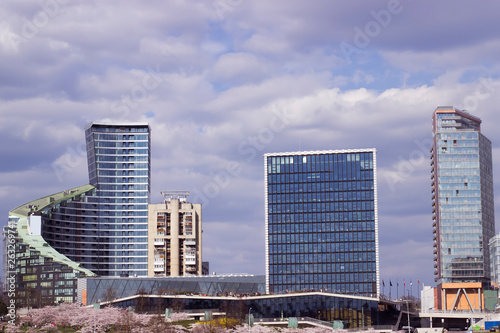 Panorama of the city Vilnius Lithuania. Skyscraper image with blooming sakura