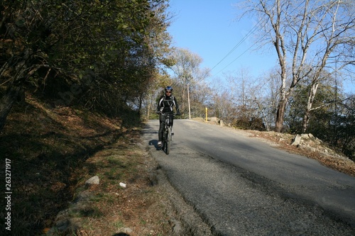 A young woman riding a bike on an asphalt road in the woods.