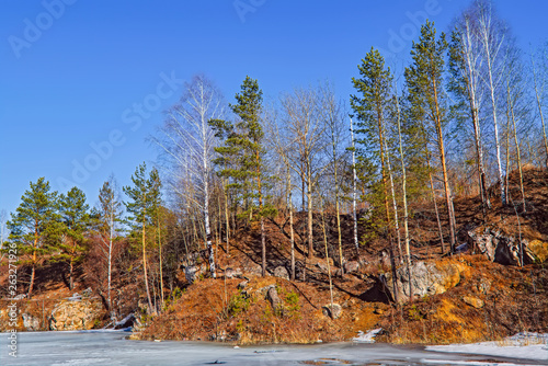 Early spring ice melts on a forest lake.