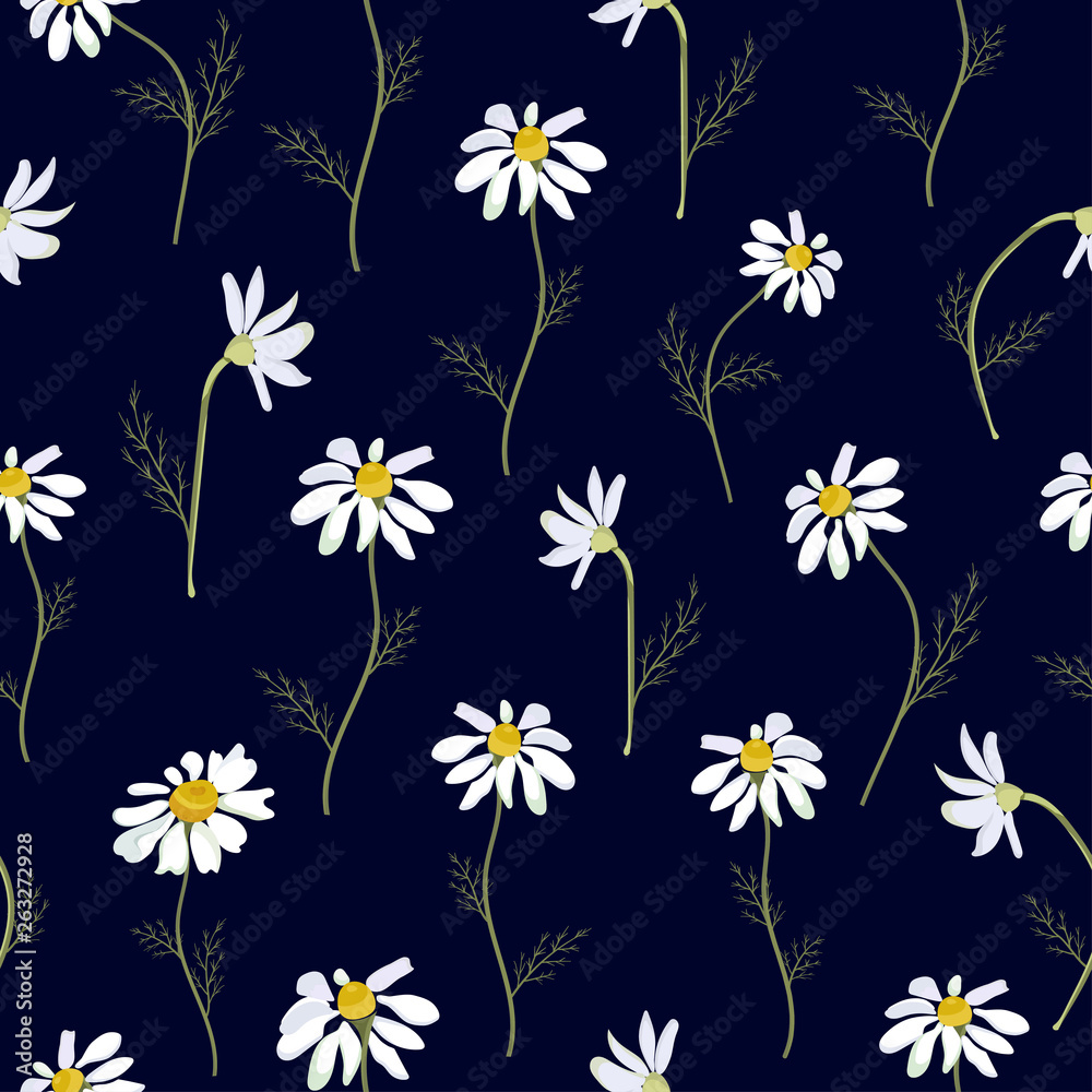 Field daisies seamless pattern on dark background. Vector