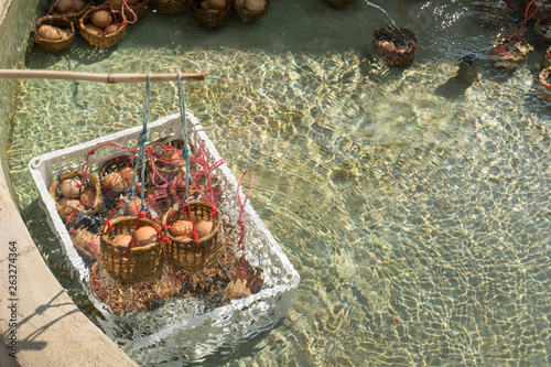 Boiling eggs in hot springs in Lampang, Thailand