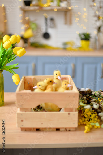 Little ducklings in a basket. 