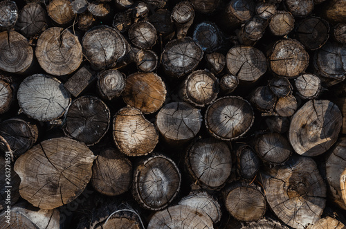 Background of stacked logs logs.Ecological method of heating.