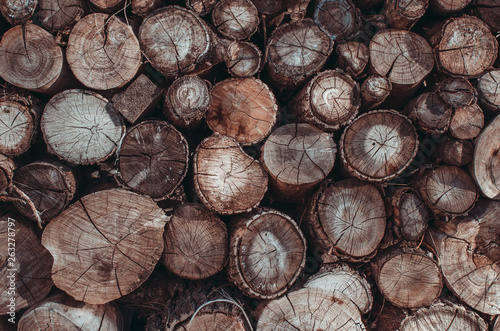 Background of stacked logs logs.Ecological method of heating.
