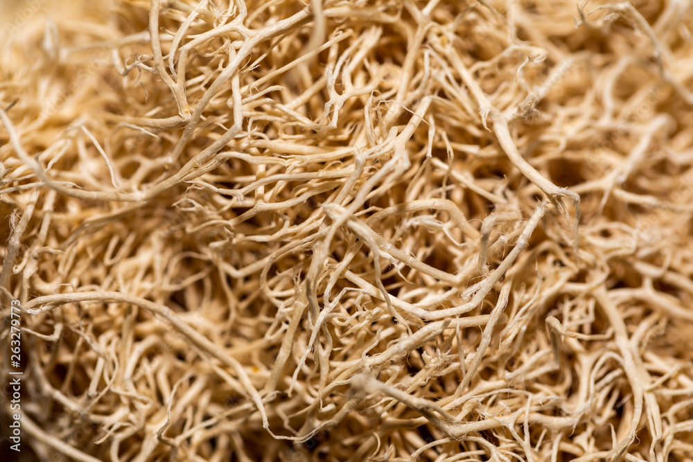 Abstract background. Close up natural sponge Luffa or zucchini sponge for body scrubbing.