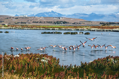 Reserva Laguna Nimez in El Calafate in the Patagonia Region of Southern Argentina
