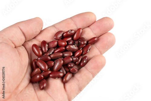 Raw Red Beans In The Hand Above White Background