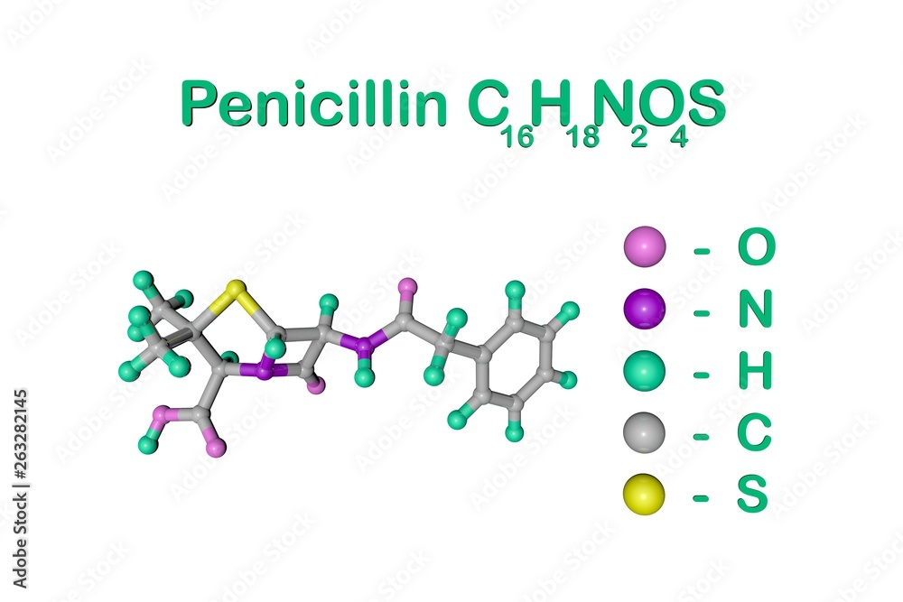 Structural chemical formula and molecular model of penicillin antibiotic produced by fungi Penicillium. It is one of the first discovered antibiotics. 3d illustration ilustración de Stock | Adobe Stock