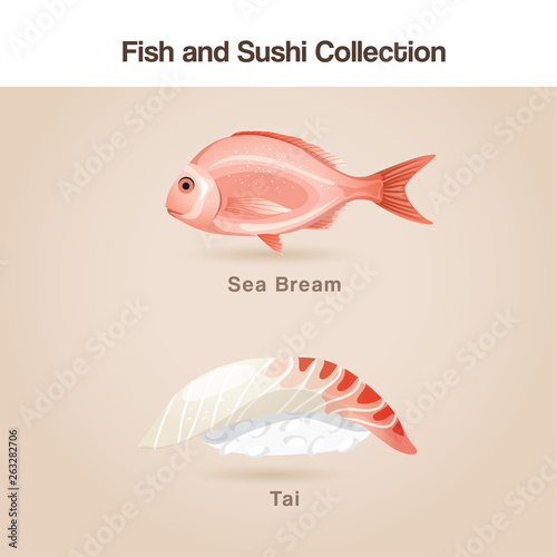 Fish and sushi set : Vector Illustration