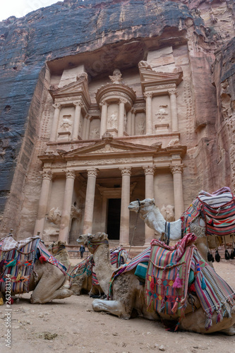 camels in front of Petra in Jordan
