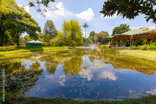 Colombia Bogota pond and tropical plants in botanical garden in a sunny day with blue sky photo