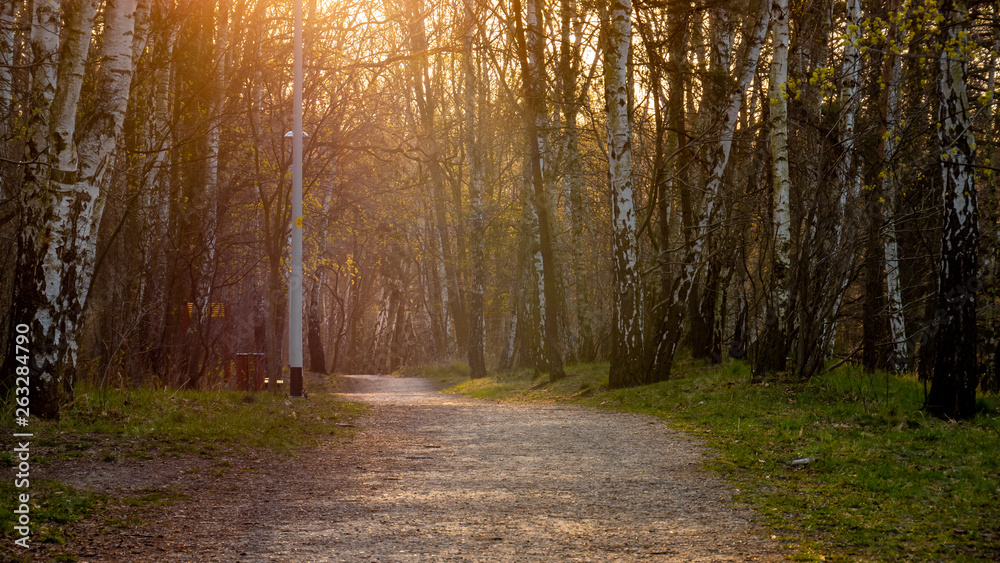 Obraz premium Ordinary park and early spring colors. Gdansk Stogi, Poland.