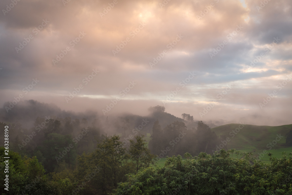 Misty morning landscape in New Zealand.