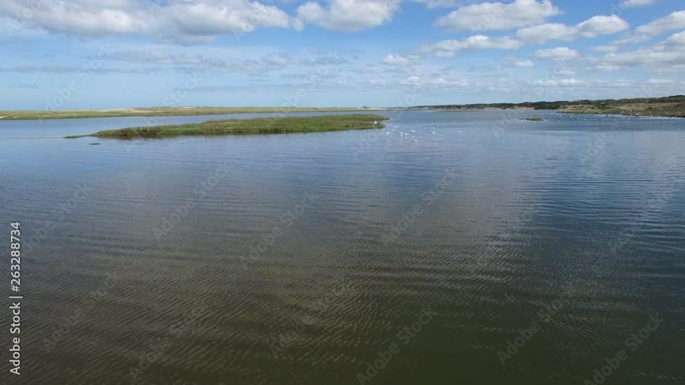 Aerial view of seagulls at a lagoon beside the ocean on a sunny day Aerial view of seagulls at a lagoon beside the ocean on a sunny day