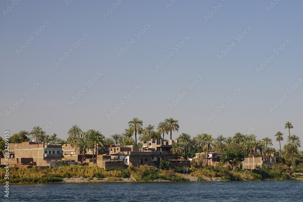 Nile River, Egypt: Houses and palm trees line the east bank of the Nile River. Nile River, Egypt: Houses and palm trees line the east bank of the Nile River.
