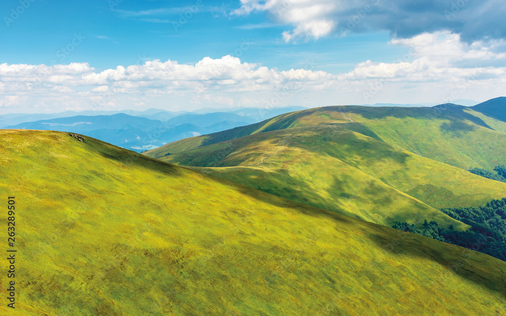 beautiful summer landscape in mountains. ridge rolling in the distance. sunny weather. fluffy clouds on the blue sky. wonderful nature background. location carpathians, borzhava