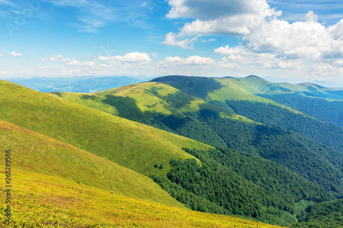 beautiful summer landscape in mountains. ridge rolling in the distance. sunny weather. fluffy clouds on the blue sky. wonderful nature background. location carpathians, borzhava © Pellinni