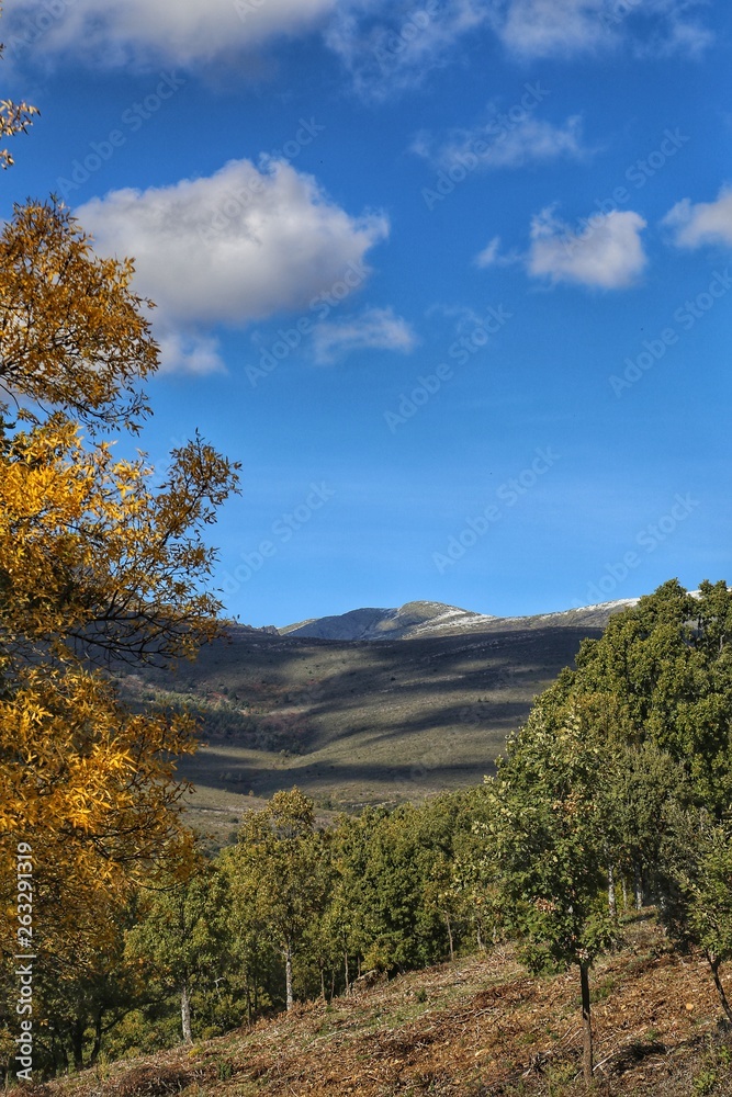 autumn in mountains autumn in mountains