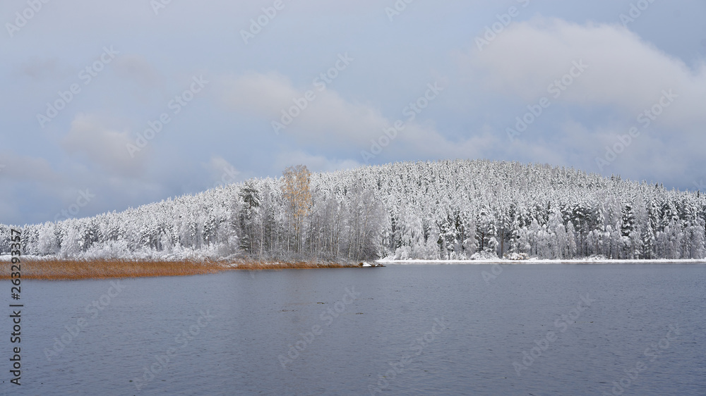 Snow Land