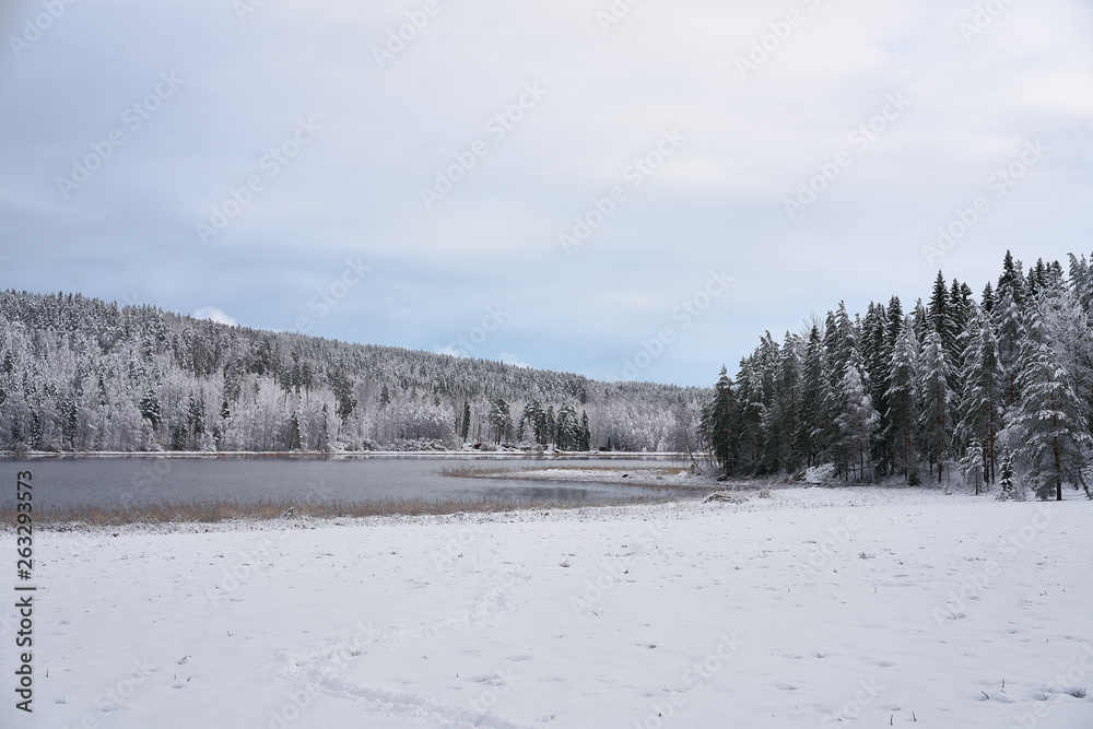 Snowy Lake