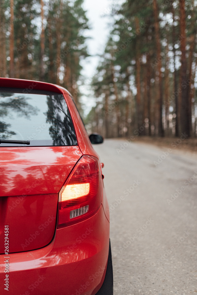 red car on the forest road