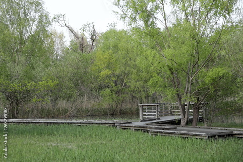 湿原の遊歩道