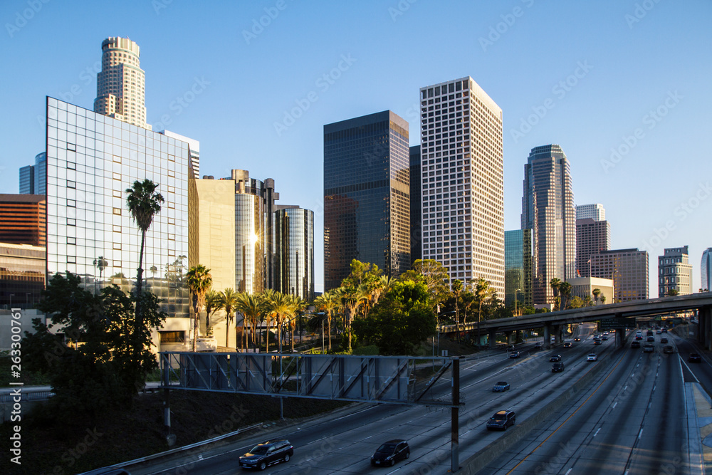 Creative Los Angeles city backdrop