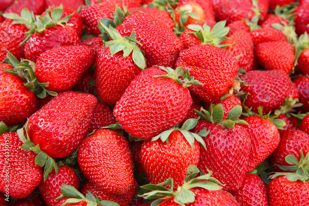 strawberry harvest top view strawberry harvest top view