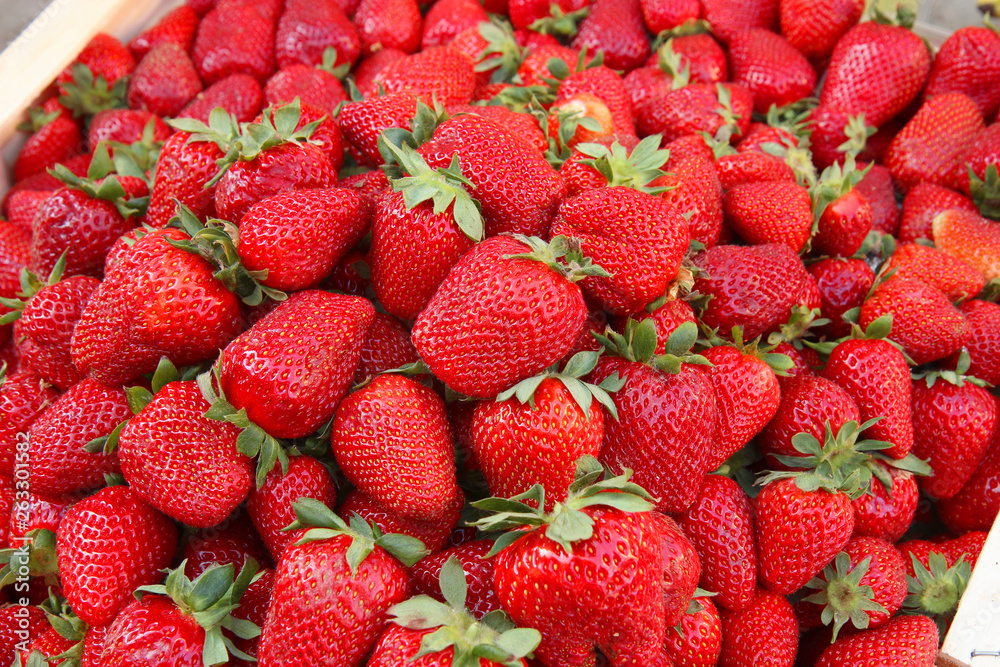 background of fresh strawberries background of fresh strawberries