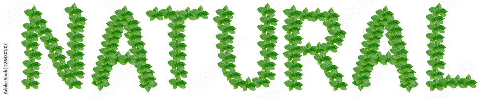 Word natural made of persimmon leaves on white background, isolate
