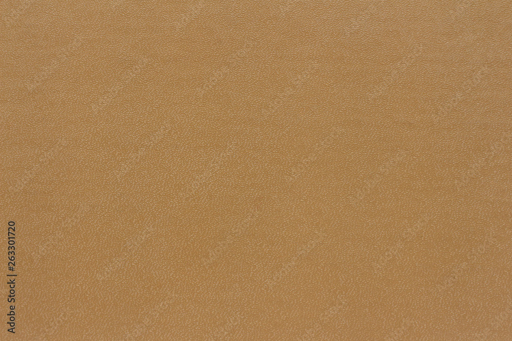the background texture is made from the book cover beige color the background texture is made from the book cover beige color