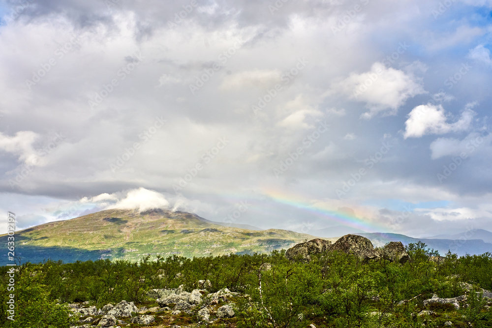 Rainbow Arrival