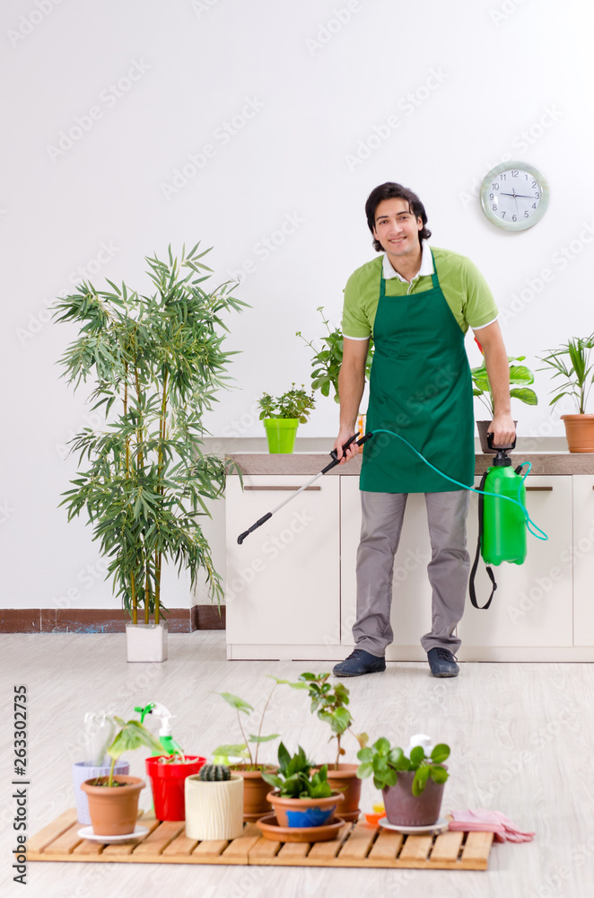 Young male gardener with plants indoors Young male gardener with plants indoors