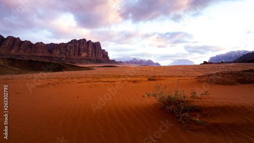 Wadi Rum Wüste © Wilhelmine