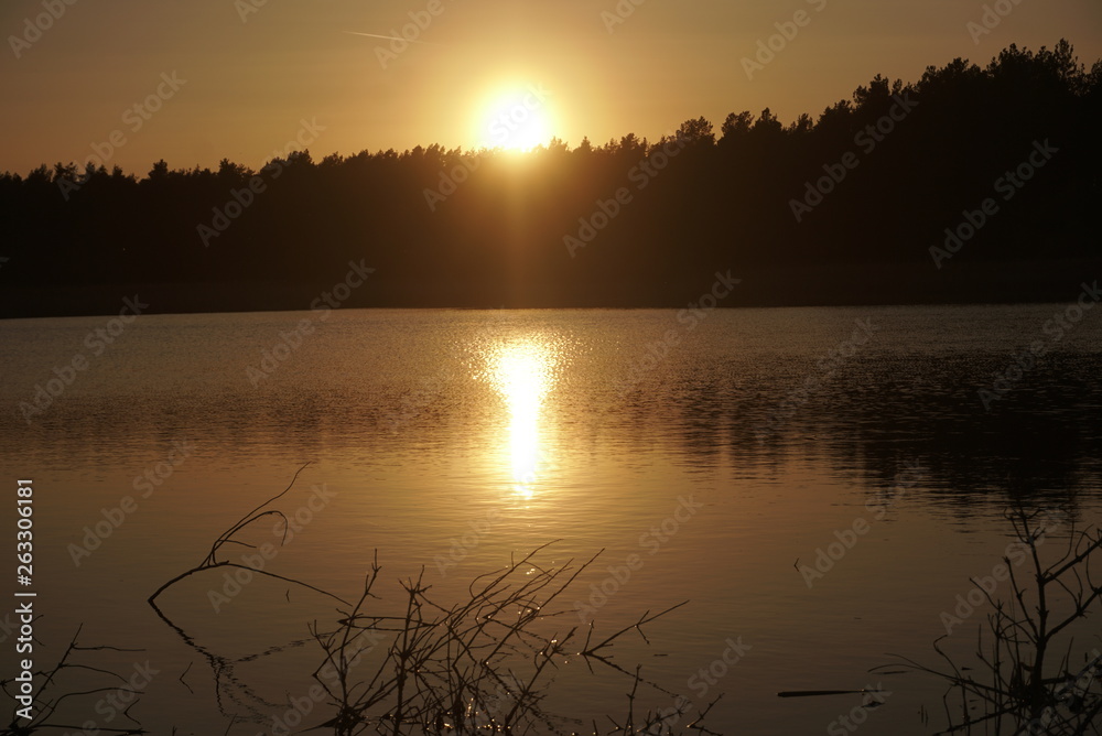 Naklejka premium sunset over the lake and the forest
