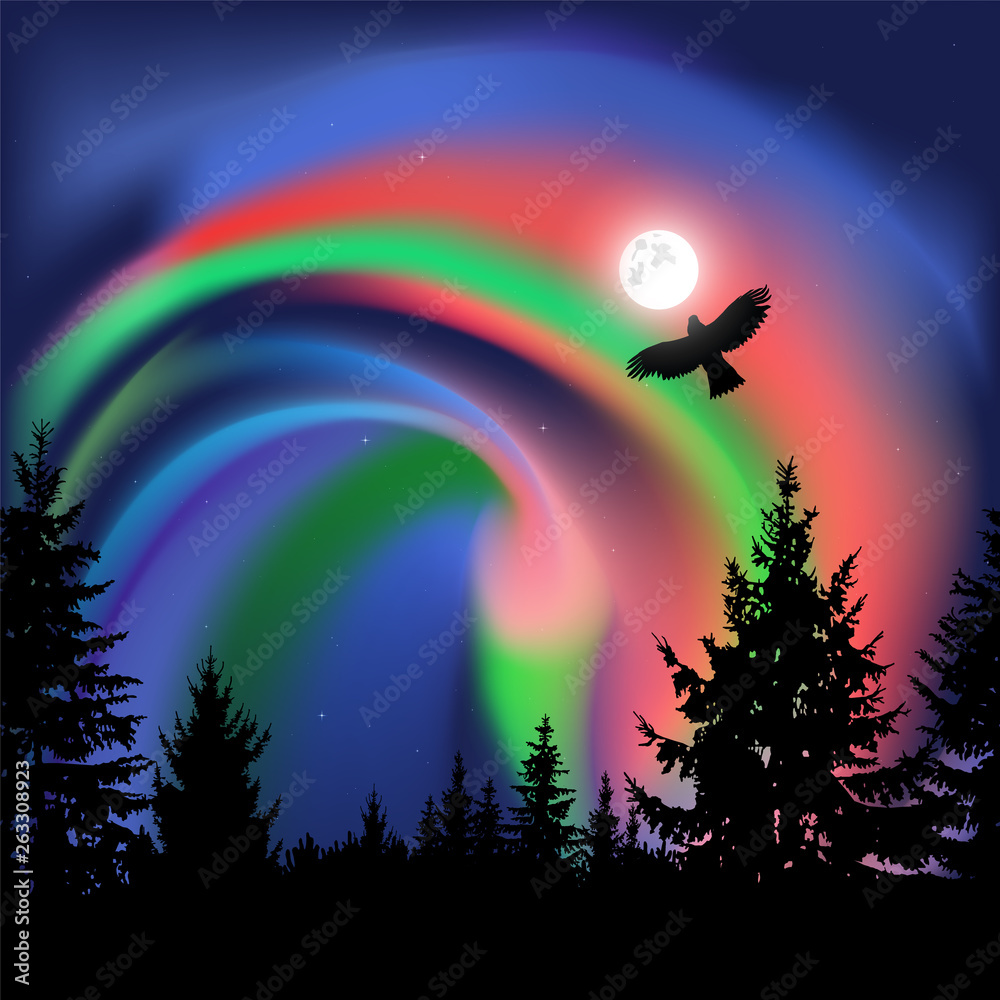 Silhouette of coniferous trees on the background of colorful sky.  Flying eagle. Night. Northern lights.