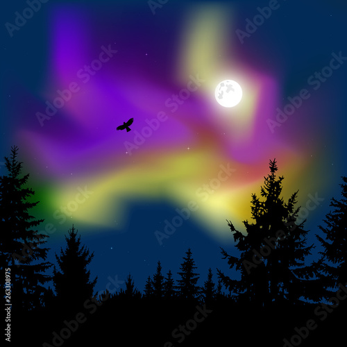 Silhouette of coniferous trees on the background of colorful sky. Flying eagle. Night. Moonlight. Violet and yellow northern lights.